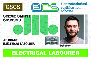 ECS Green Labourer Card